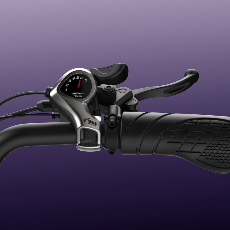 Transmisión Shimano de 7 velocidades