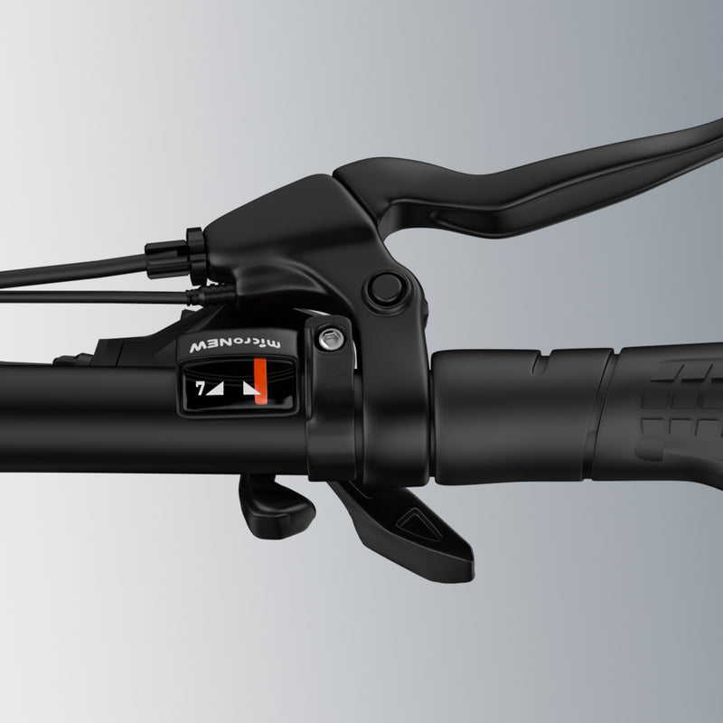 Trasmissione Shimano a 7 velocità