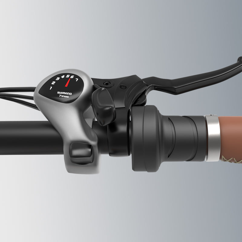 Transmisión Shimano de 7 velocidades